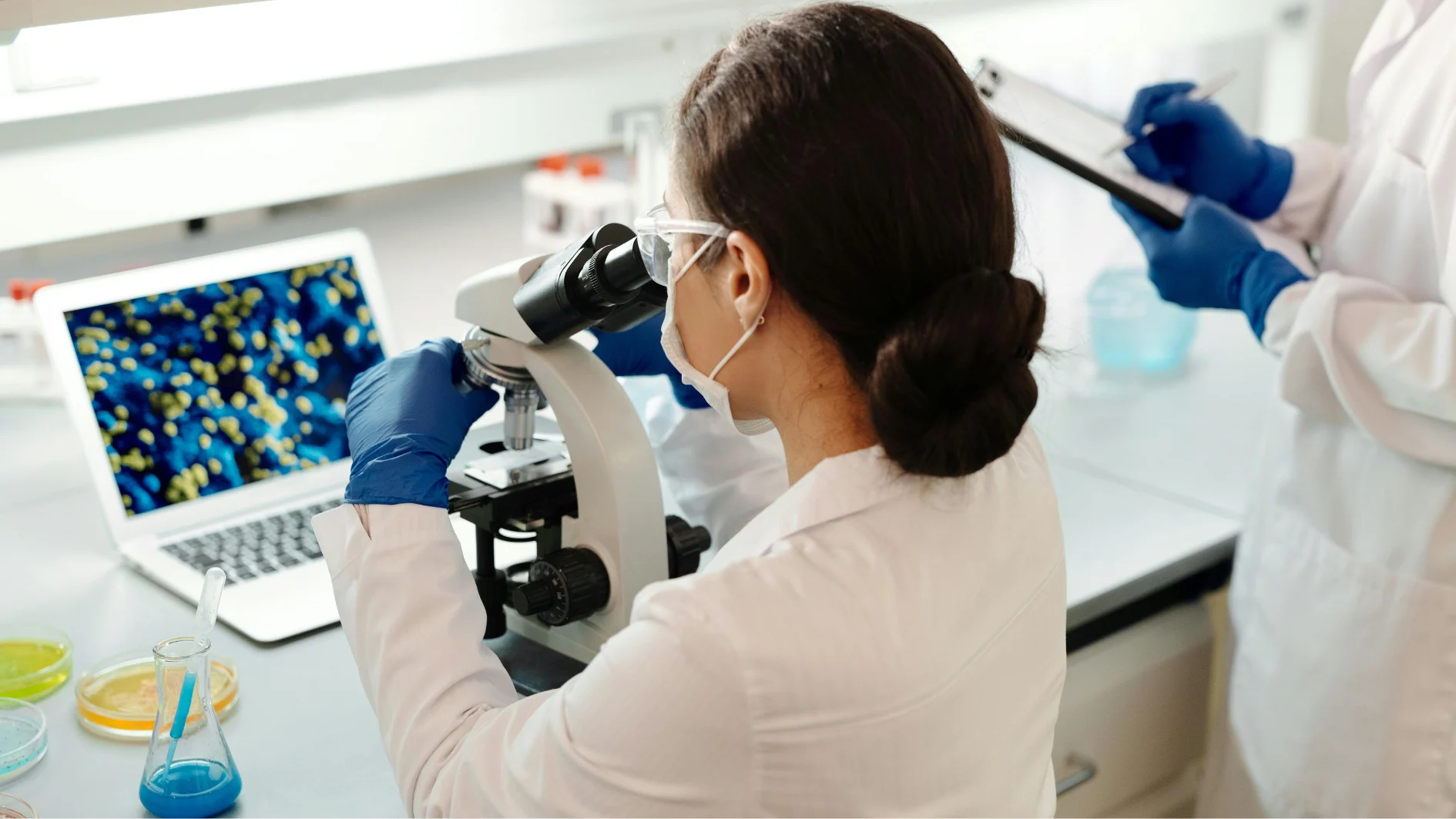 Investigator Site File (eISF)